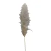 Dried flower, reed, grass flower, artificial plastic plant resin oil drip flower bouquet package Item Picture